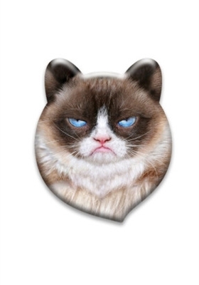 Светоотражатель значок 3D "Сердитый кот"
