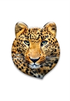 Светоотражатель значок 3D "Леопард"