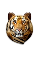 Светоотражатель значок 3D "Тигр"